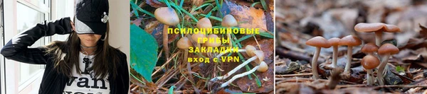гидропоника Каменногорск