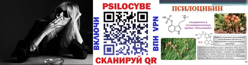 Купить закладки  Кадников  Псилоцибиновые грибы MAGIC MUSHROOMS 